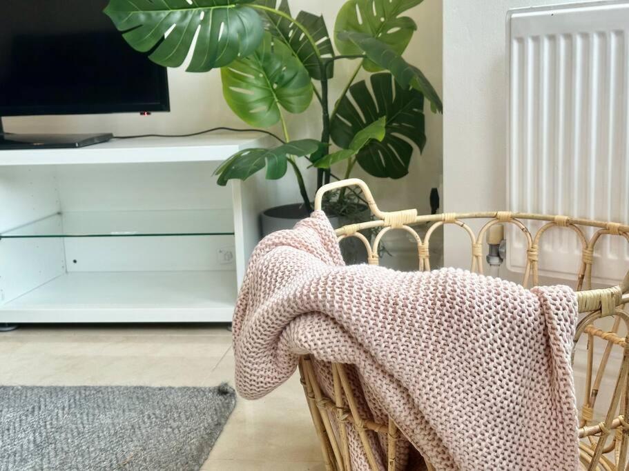 5 Bedroom House Se6 ロンドン エクステリア 写真